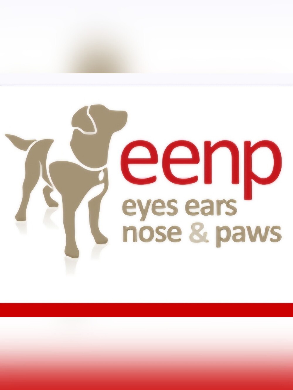 Eyes Ears Nose & Paws